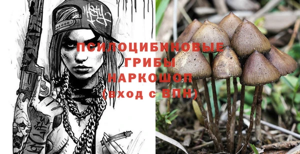 хмурый Алзамай