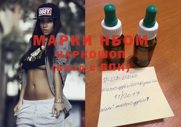 хмурый Алзамай