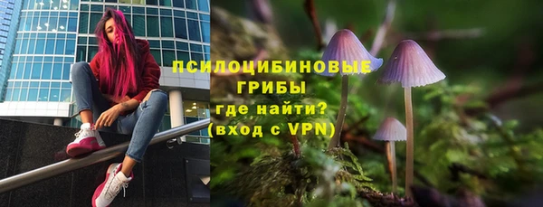 хмурый Алзамай