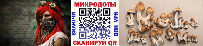 Псилоцибиновые грибы MAGIC MUSHROOMS  Тула 